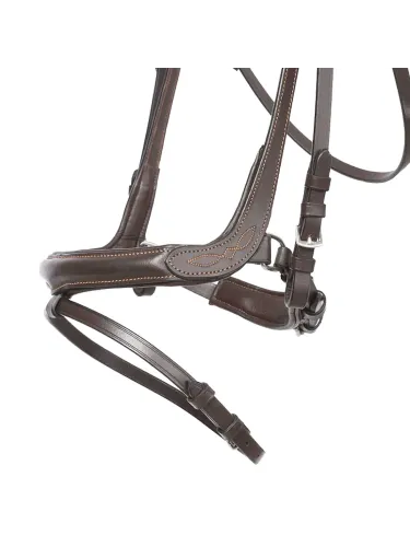 Valjad Ivy Kavalkade