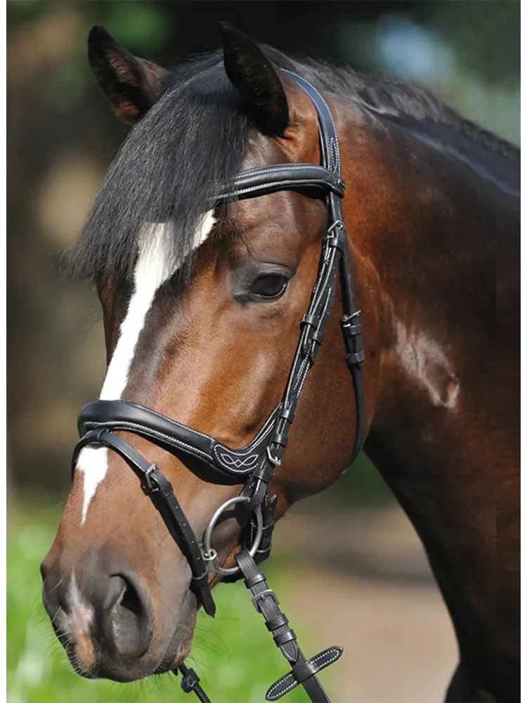 Valjad Ivy Kavalkade