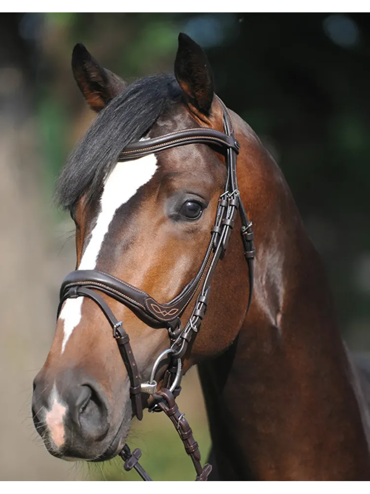 Valjad Ivy Kavalkade