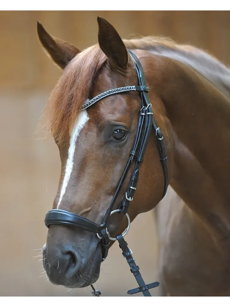 Valjad Isabella Hanoverian Kavalkade