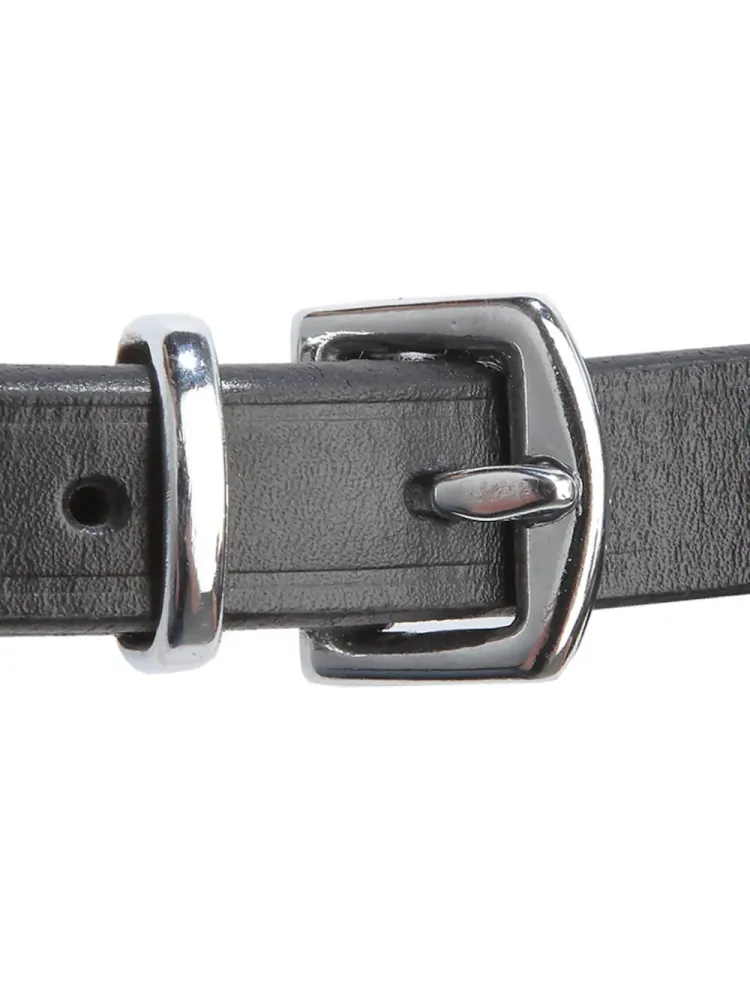 Valjad Isabella Hanoverian Kavalkade