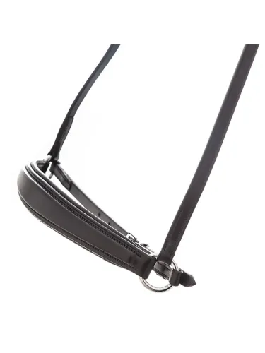 Valjad Isabella Hanoverian Kavalkade