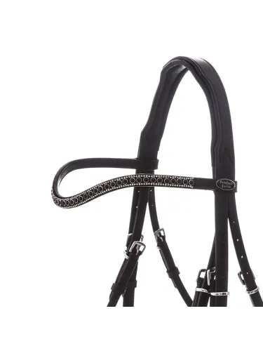 Valjad Isabella Hanoverian Kavalkade