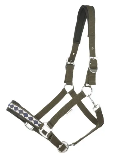 Päitsed Draft Horse Classic Kavalkade