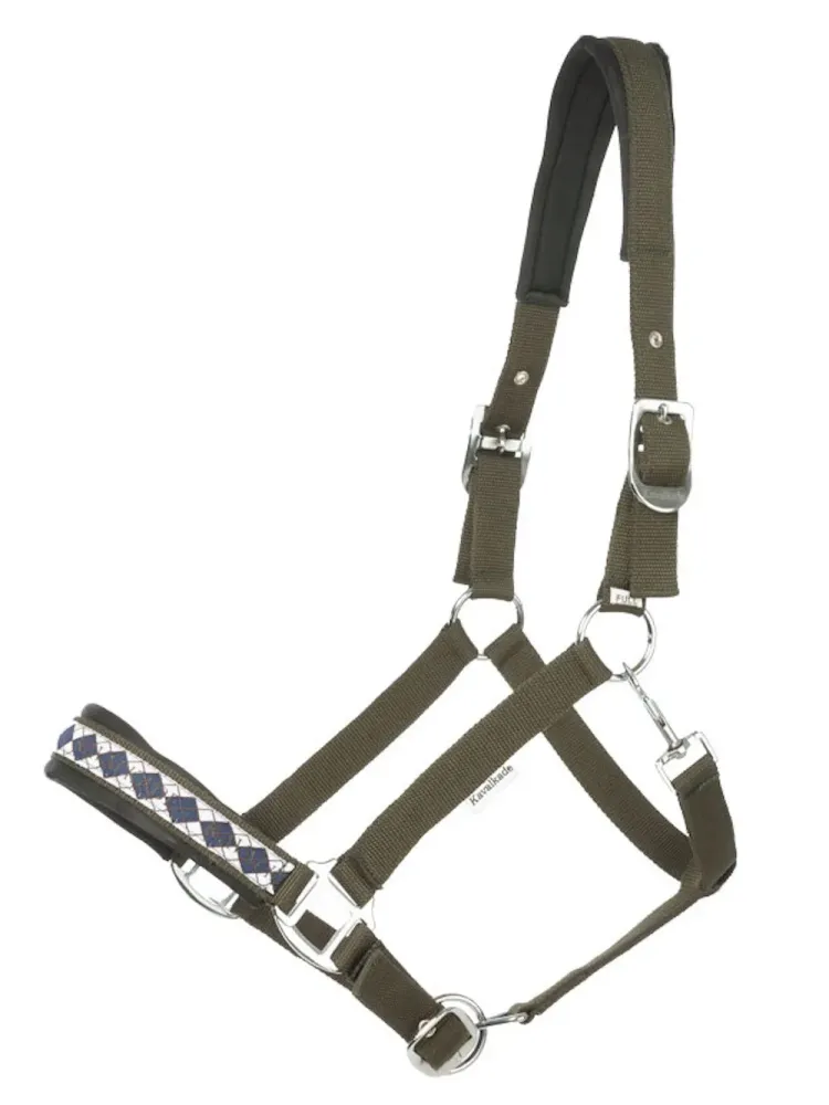 Päitsed Draft Horse Classic Kavalkade