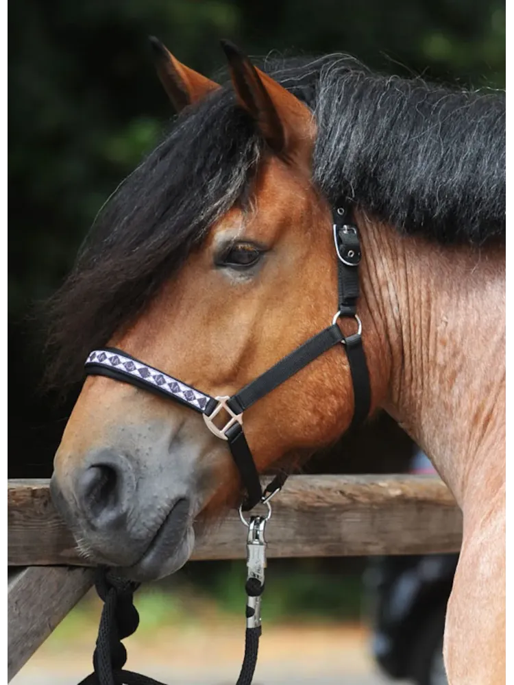 Päitsed Draft Horse Classic Kavalkade