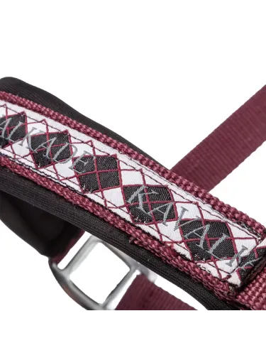 Päitsed Draft Horse Classic Kavalkade