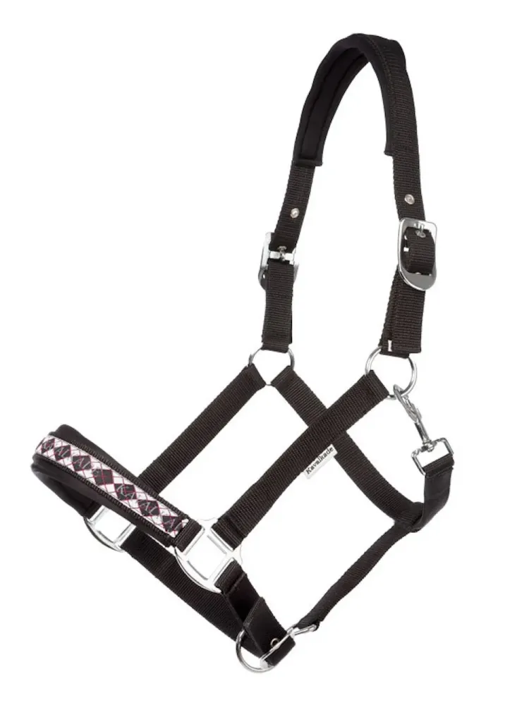 Päitsed Draft Horse Classic Kavalkade