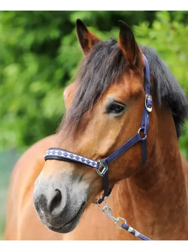 Päitsed Draft Horse Classic Kavalkade