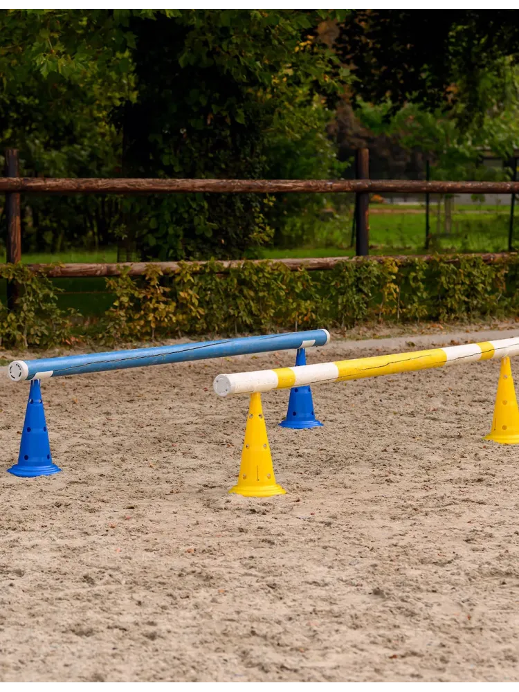 Koonused 8tk Waldhausen