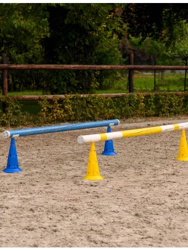 Kobad koonustele Waldhausen