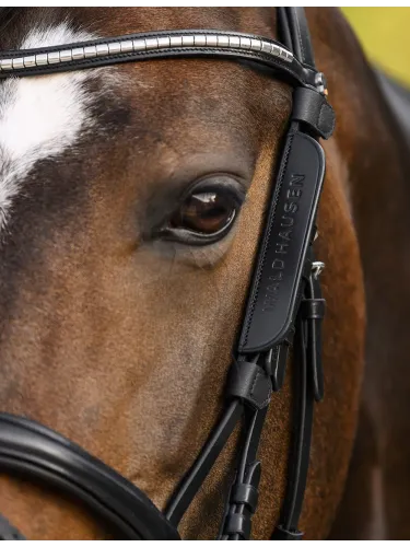 Blinkerid Waldhausen