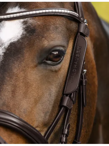 Blinkerid Waldhausen