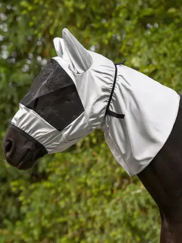 Ekseemimask Waldhausen