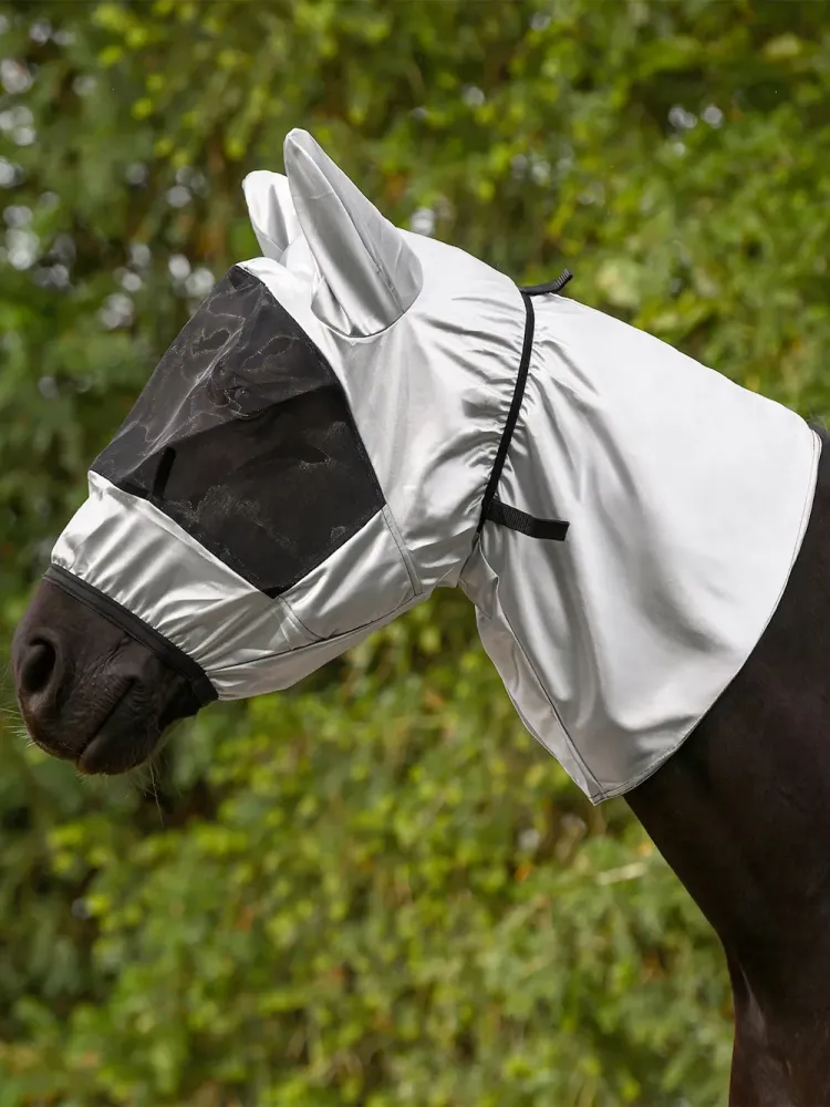 Ekseemimask Waldhausen