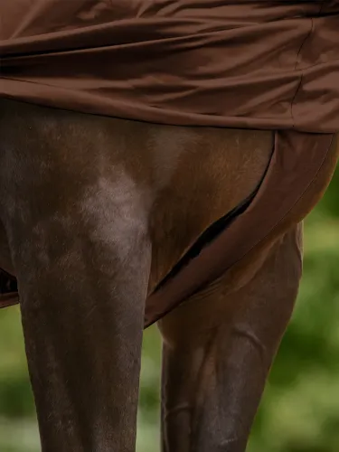 Ekseemitekk Basic Waldhausen