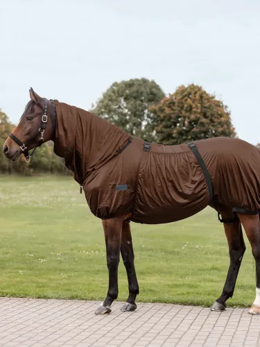 Ekseemitekk Basic Waldhausen