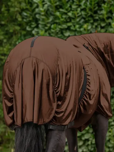 Ekseemitekk Basic Waldhausen