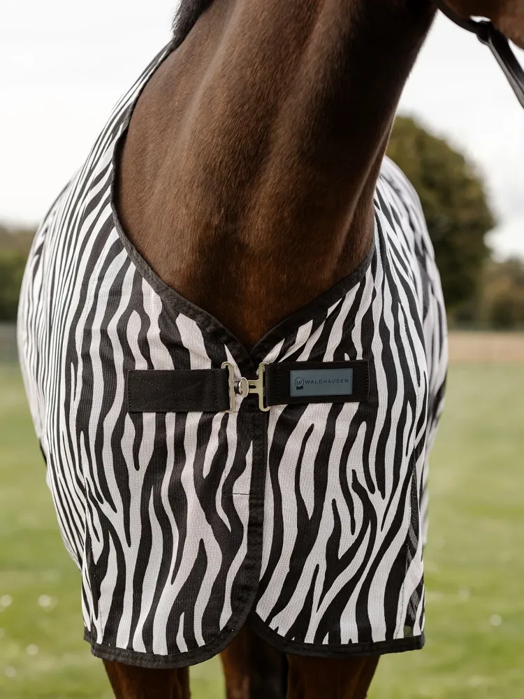 Putukatekk Zebra Cross Waldhausen