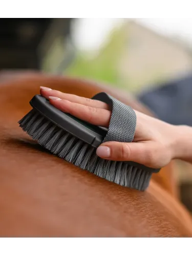 Kehahari Synthetic Waldhausen