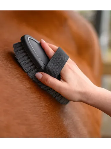 Kehahari Synthetic Waldhausen