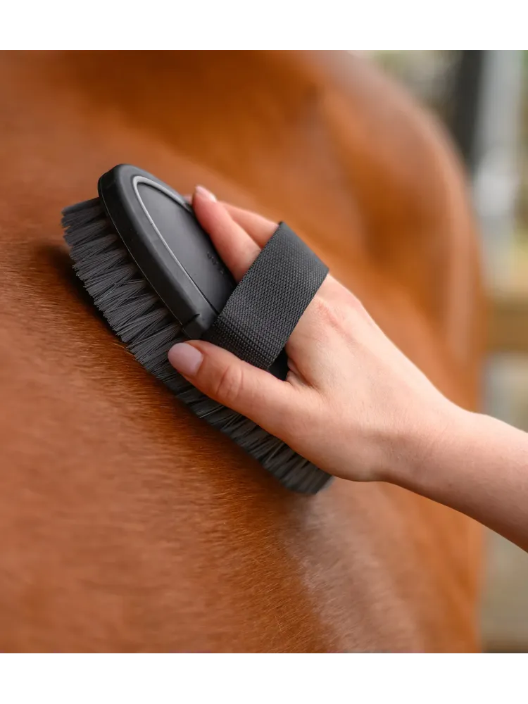 Kehahari Synthetic Waldhausen