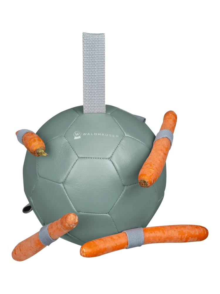 Porgandipall Waldhausen