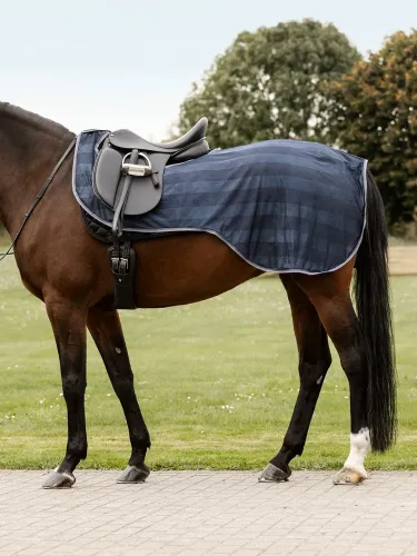 Trennitekk Economic Fly Waldhausen