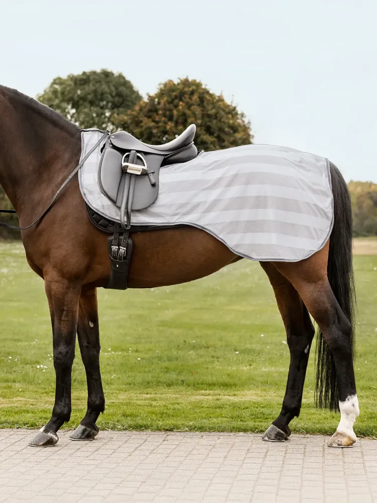 Trennitekk Economic Fly Waldhausen