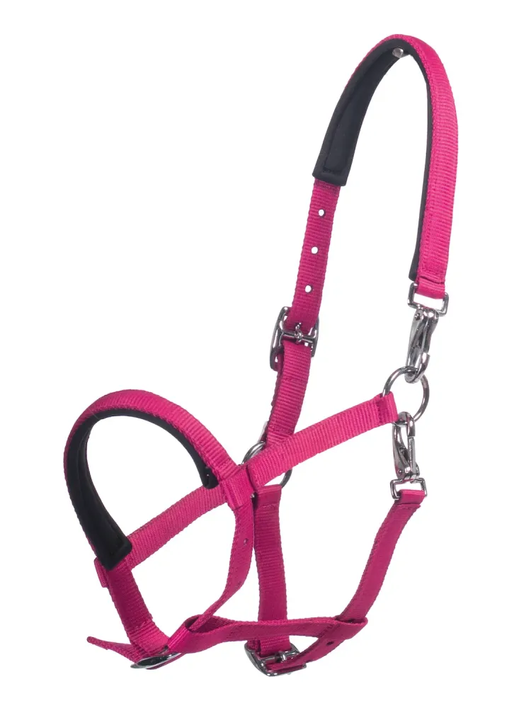 Varsapäitsed Millie HKM