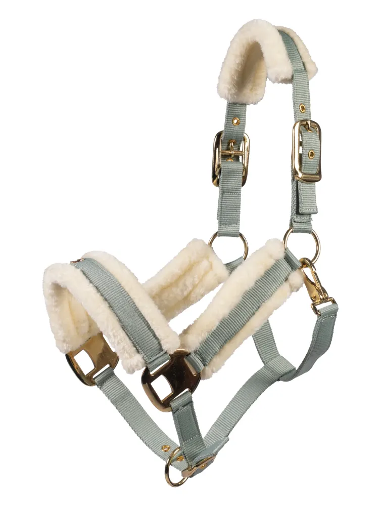 Päitsed Limone Elegant Lauria Garrelli