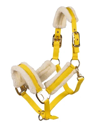 Päitsed Limone Elegant Lauria Garrelli