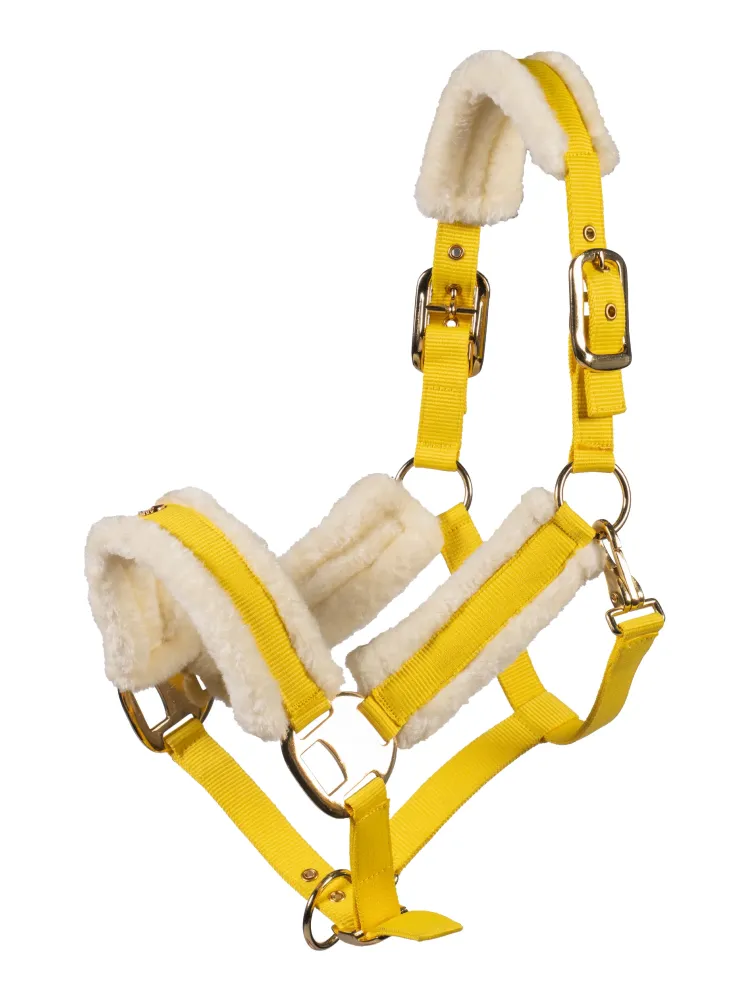 Päitsed Limone Elegant Lauria Garrelli