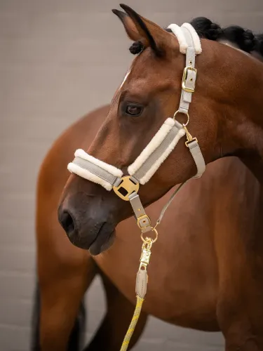 Päitsed Limone Elegant Lauria Garrelli