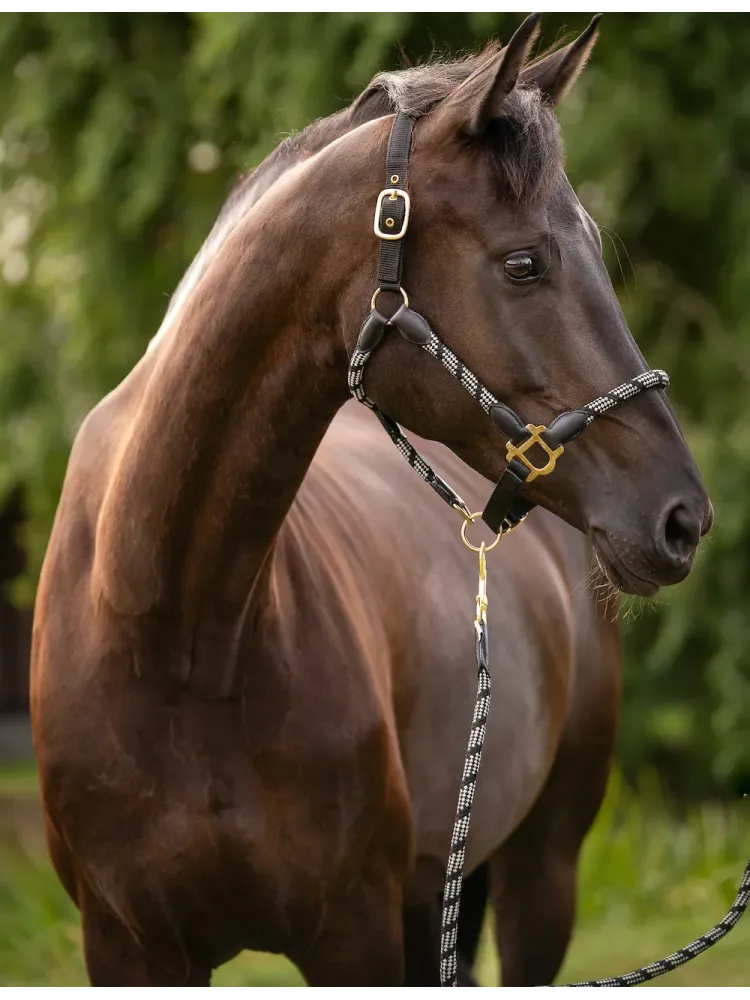 Päitsed Limone Sportive Lauria Garrelli