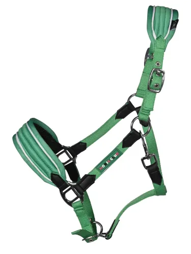 Päitsed Maui Pony HKM