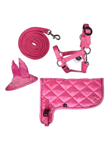 Komplekt Neon Hobby Horsing HKM