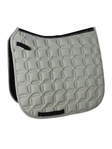 Koolisõiduvaltrap Limone Elegant Lauria Garrelli