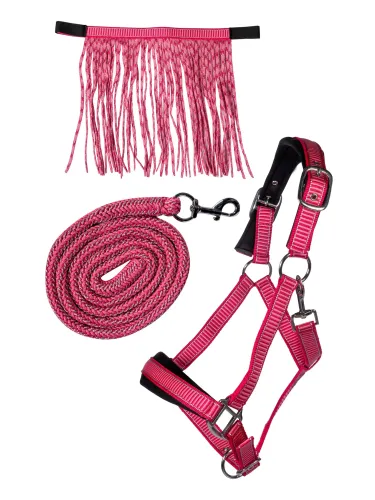 Päitsete komplekt Lilly HKM