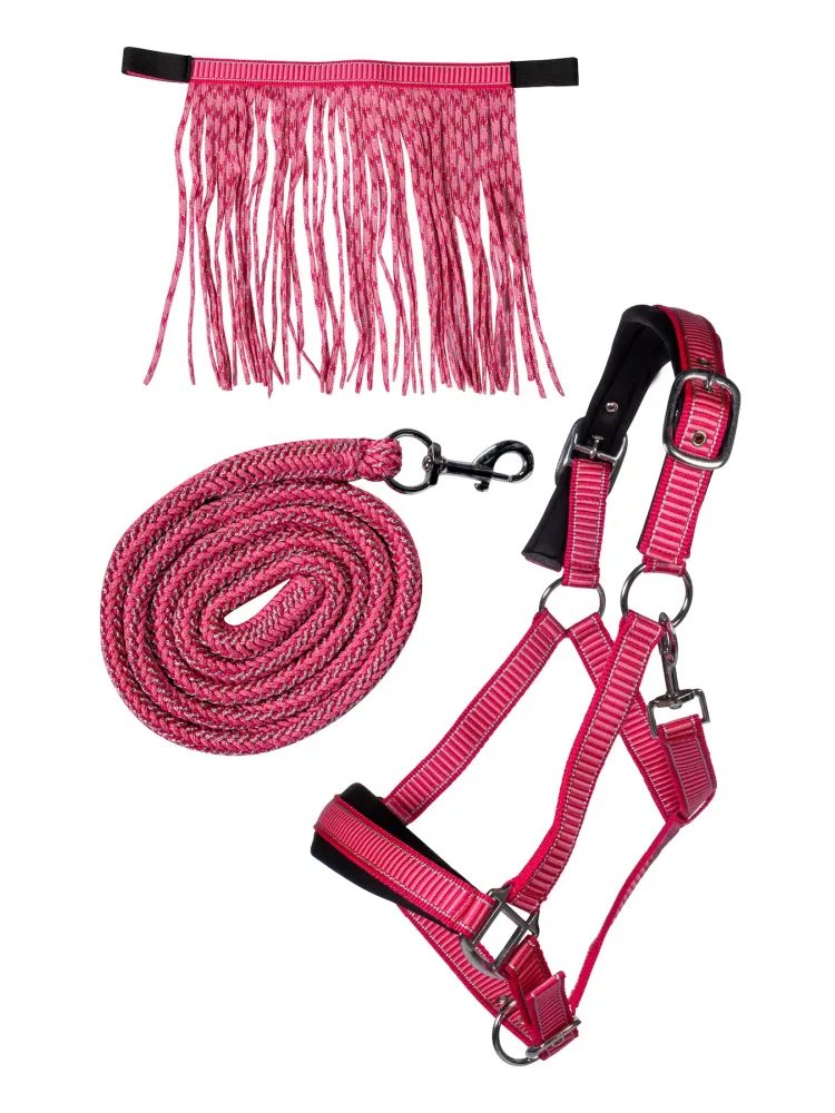 Päitsete komplekt Lilly HKM