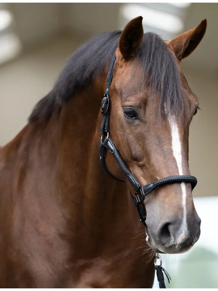 Päitsed Laura Imperial Riding