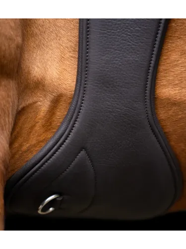 Sadulavöö Anatomic Spring Imperial Riding
