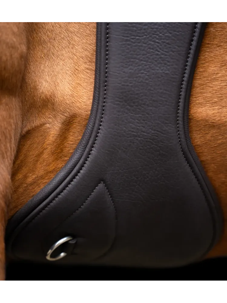Sadulavöö Anatomic Spring Imperial Riding