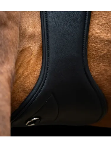 Sadulavöö Anatomic Spring Imperial Riding