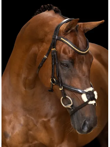 Valjad Mexican Imperial Riding