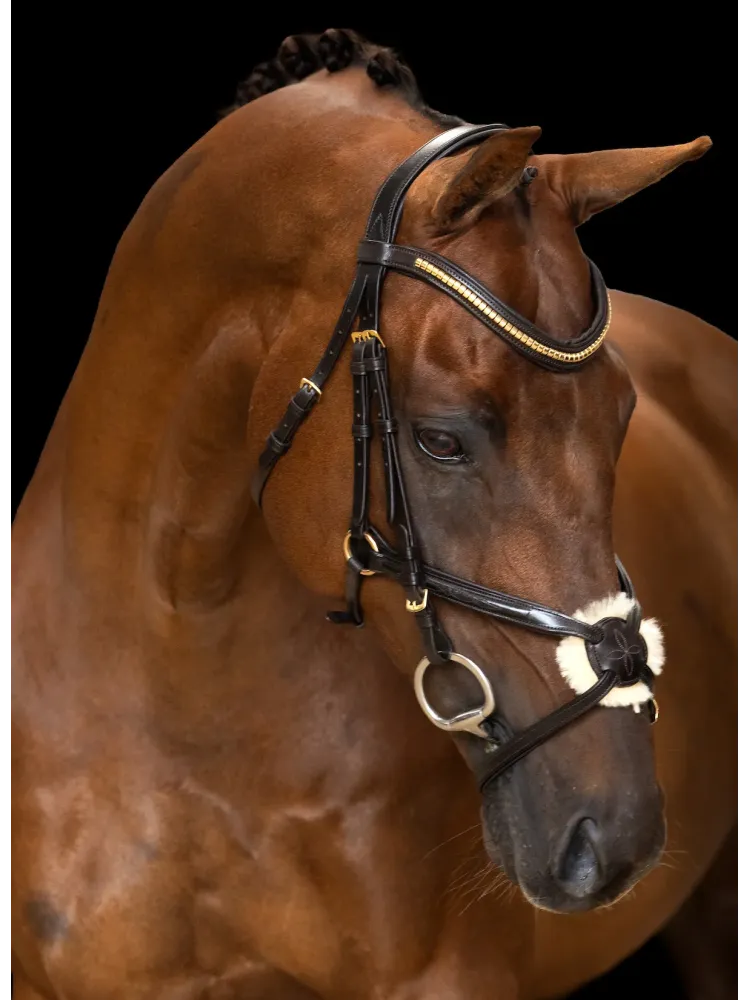 Valjad Mexican Imperial Riding