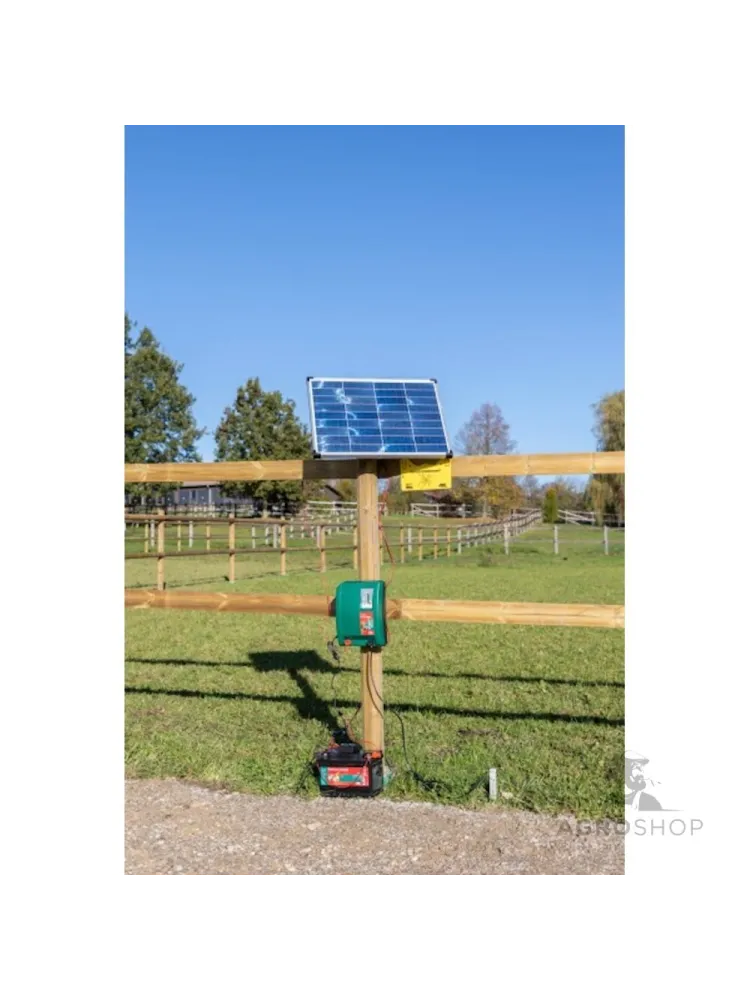 Elektrikarjus AKO DuoPower X6000 smart 7,5J 12V/230V