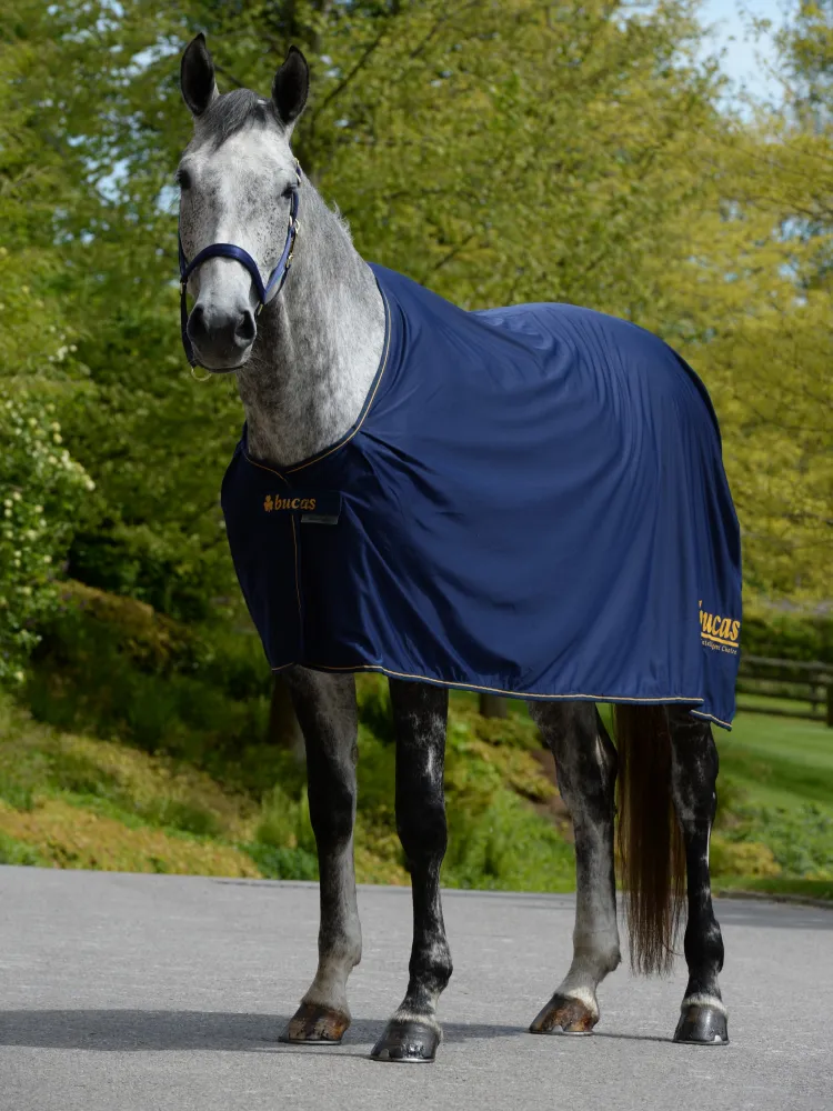 Coolertekk Bucas Prize Cooler