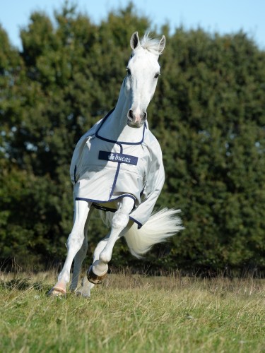 Vihmatekk Bucas Sun Shower