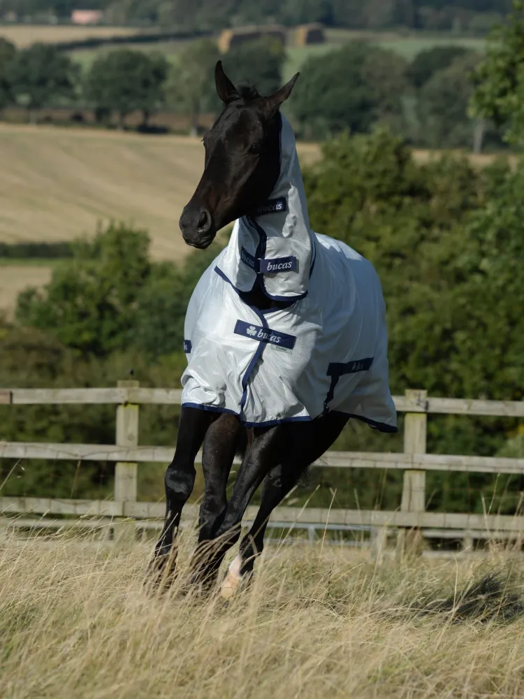 Putukatekk Fly Sheet Bucas